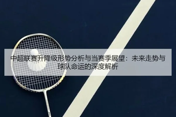 中超联赛升降级形势分析与当赛季展望：未来走势与球队命运的深度解析
